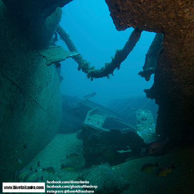 Bow of Medhufaru